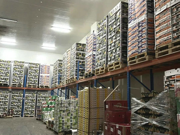 光明食品集团开启农产品无接触交易新模式，保障果品蔬菜批发供应